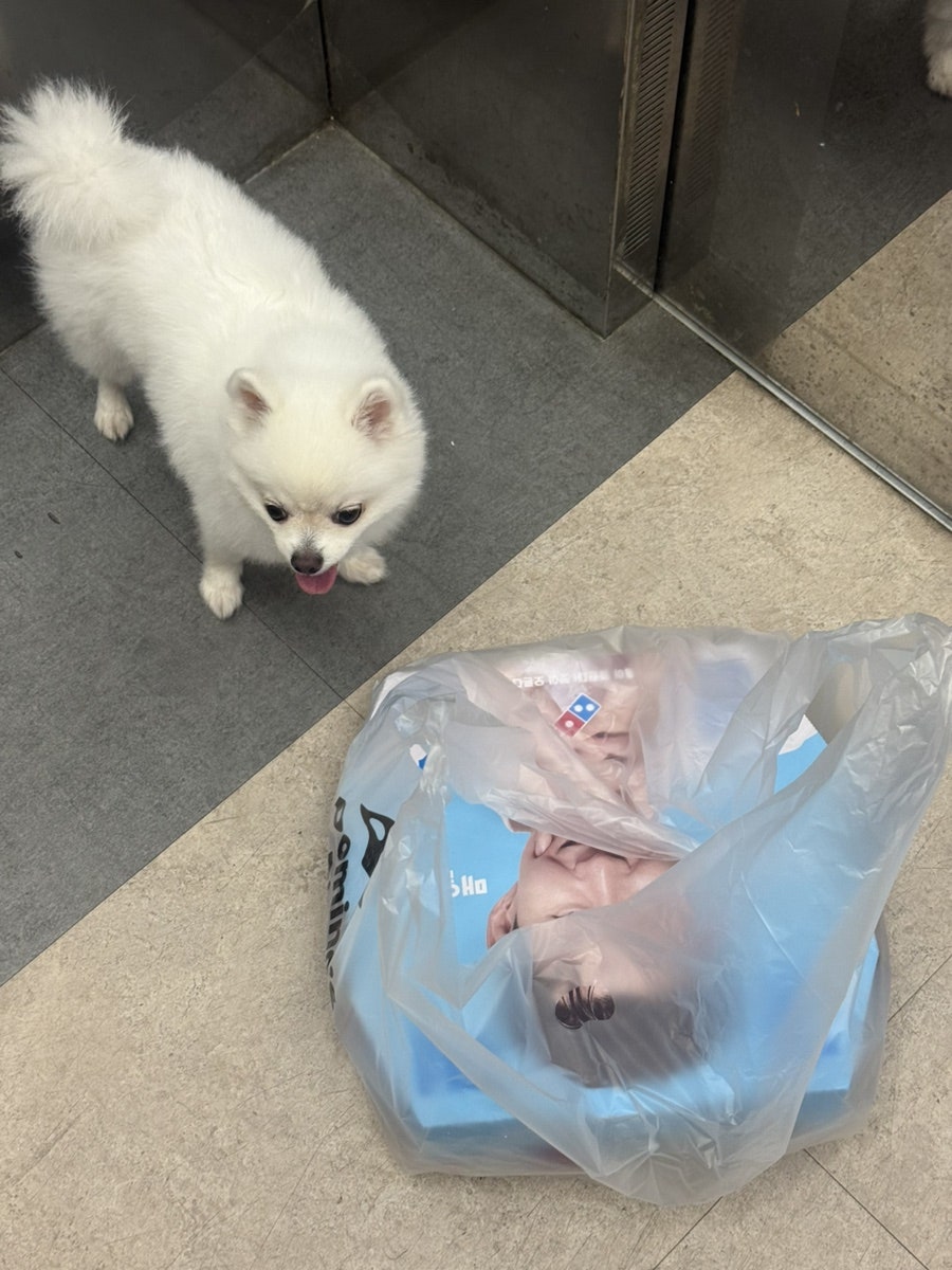도미노피자 보라매점 사진 2