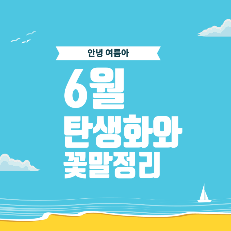  6월 탄생화 꽃말 완벽 총정리 1일부터 30일까지