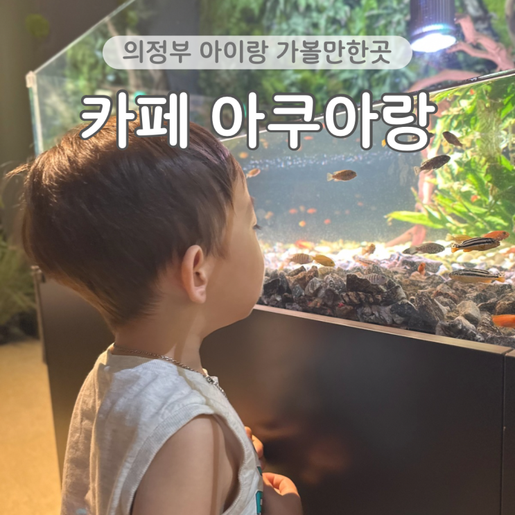  의정부 민락동 카페 아쿠아랑 서울 근교 수족관카페 아이랑 가볼만한곳 내돈내산 후기