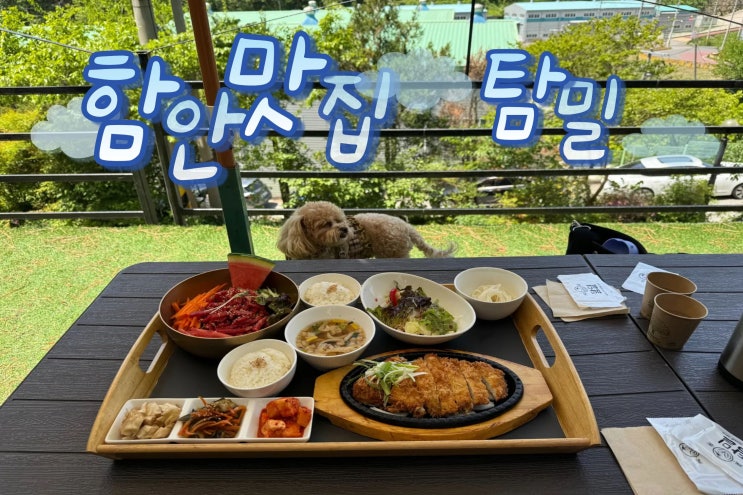 수박의 고장 함안에서 즐기는 한식 맛집, '탐밀' 솔직 후기 (ft. 애견 동반, KBS 생생정보통 촬영)