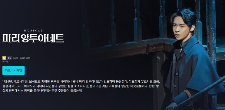  디즈니플러스 뮤지컬 볼 수 있다고? 구독하면 할인 이상의 가치!
