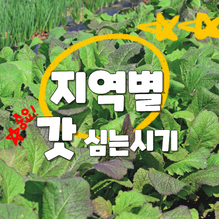  가을 갓 심는시기 지역별 파종 간격 방법