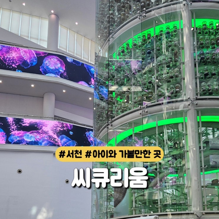  서천 아이와 가볼만한곳 추천 국립해양생물자원관 씨큐리움 서천여행 1일차