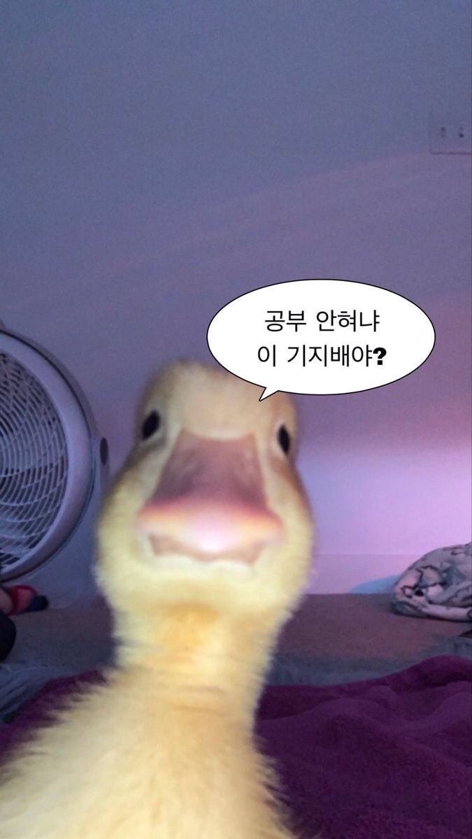 [행정법] 써니 행정법총론 오답노트 복습정리 1. 행정법통론