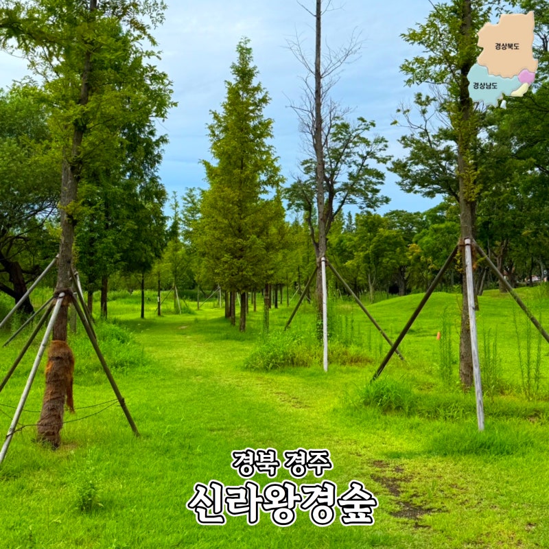 사진 3