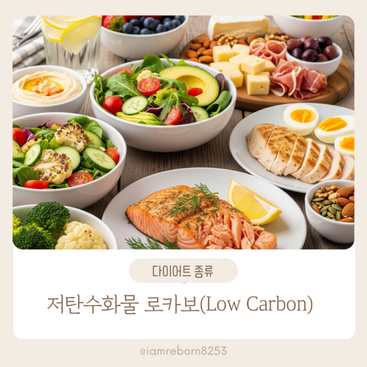  저탄수화물 로카보 다이어트(Low Carbon)
