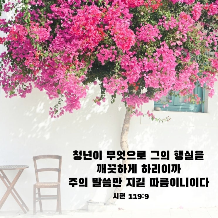  시편 119편 9절/하나님 말씀 안에서 흔들리지 않는 삶