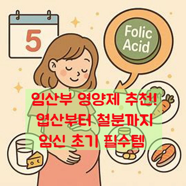  임산부 영양제 추천! 엽산부터 철분까지 임신 초기 필수템