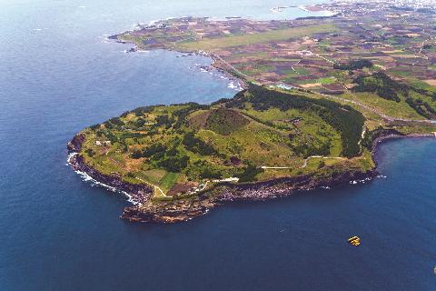  [정보] 제주도 이사 비용 총정리! 이것만 알면 백만원도 절약할 수 있어요(제주도이사비용, 제주도이사)