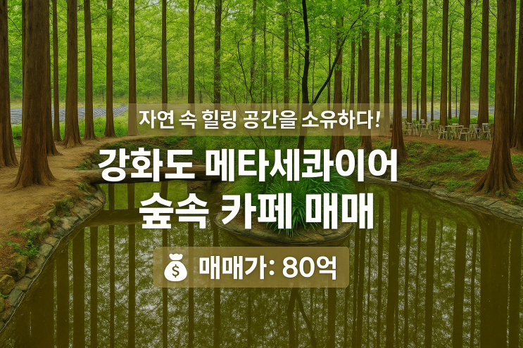  강화도 80억! 메타세콰이어 숲속 카페 매매: 자연 속 힐링 & 안정적인 수익 창출의 기회![대형카페]