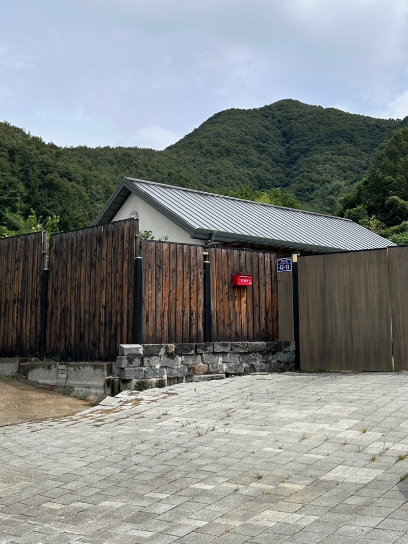 사진 10