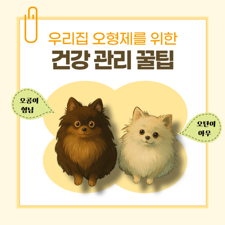  [카드뉴스] 9월 반려견 건강 체크리스트 (여름과 가을 사이)