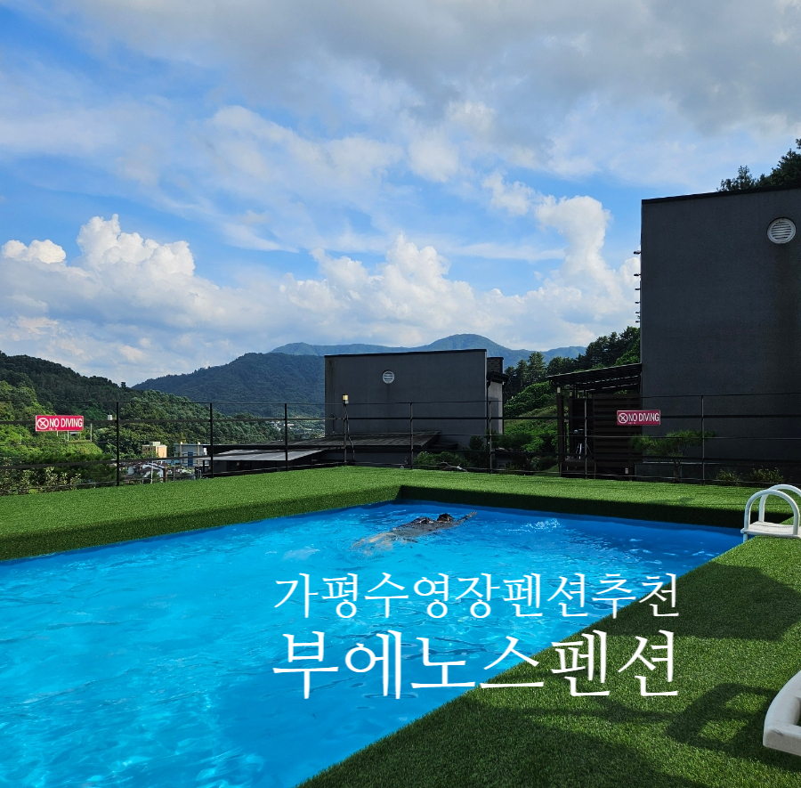 부에노스풀빌라펜션 사진 1