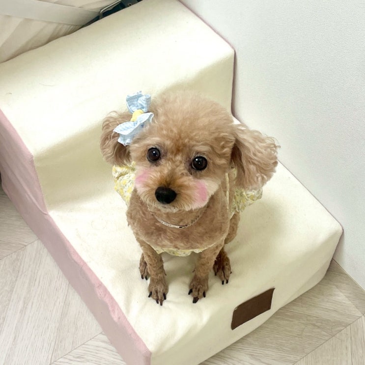  제동생 자랑 좀 할게요 제발 봐주세요 제발제발