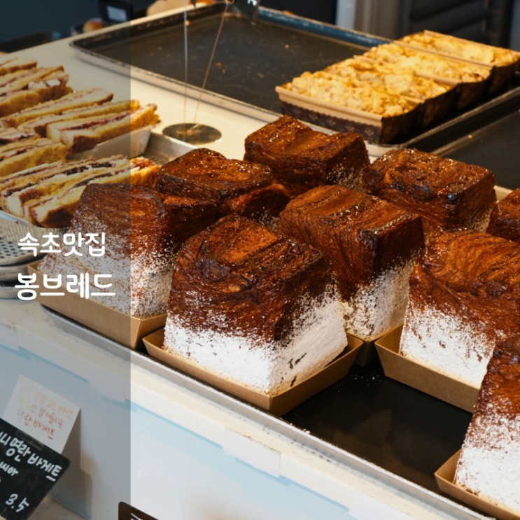  속초 빵지순례 빵 맛집 봉브레드 주차 추천