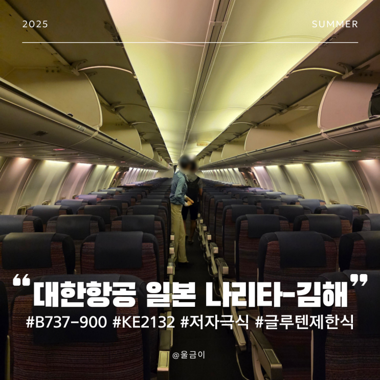  대한항공 KE2132 일본 나티라 - 부산 김해 B737-900 기내식 특별식 저자극식 글루텐제한식