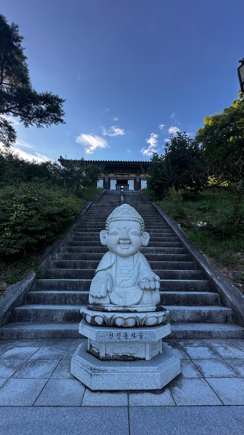 정책지식 2025.9.5. : 네이버 블로그