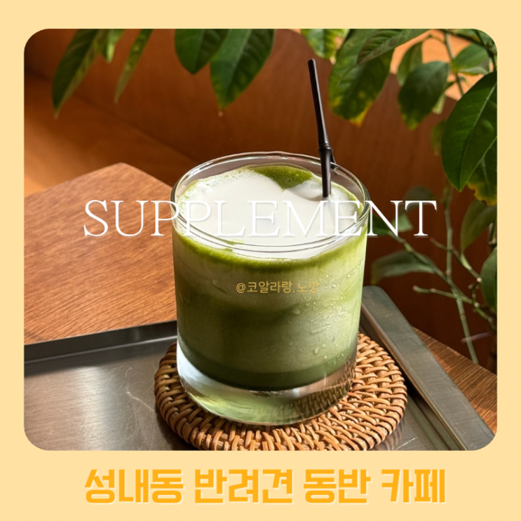  성내동 반려견 동반 카페 | 올림픽공원 북2문 근처 서플먼트커피