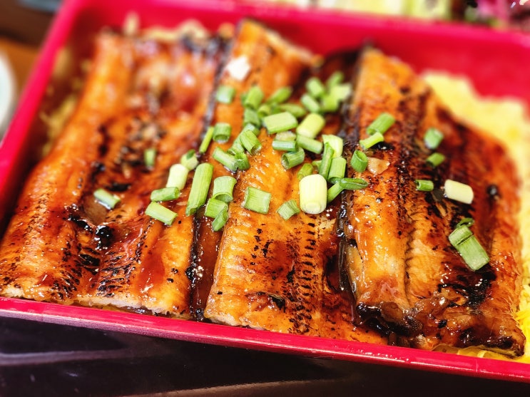  싱싱한 장어 두 마리로 완성하는 건강한 한 끼 동탄 장어 맛집 양심장어 본점