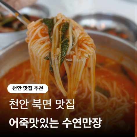  천안북면맛집, 몸보신메뉴 어죽맛있는 수연만장