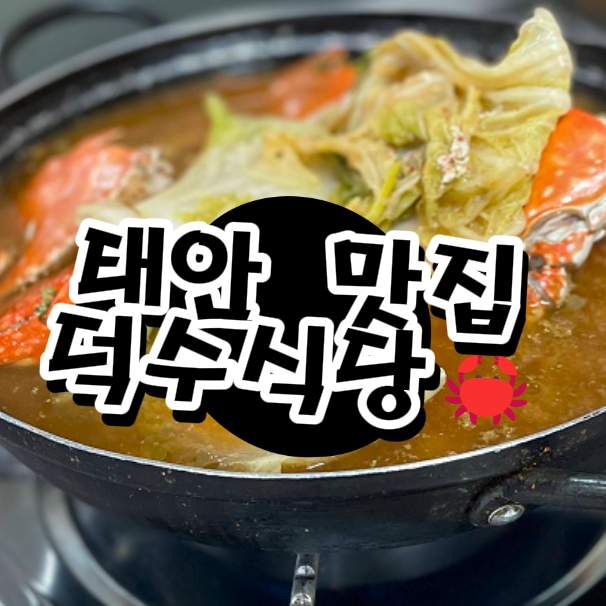  태안 맛집 추천, 게국지 먹으러 전현무계획 나온 덕수식당 다녀온 후기