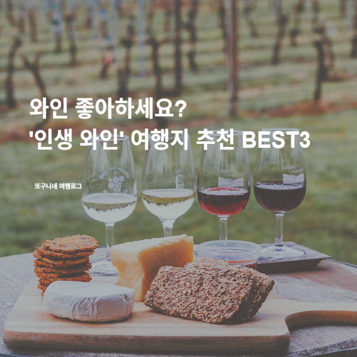  와인 좋아하세요? '인생 와인' 세계 여행지 추천 BEST3