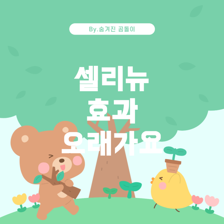  셀리뉴 리프팅 vs. 써마지: 효과 지속 기간 및 만족도 비교