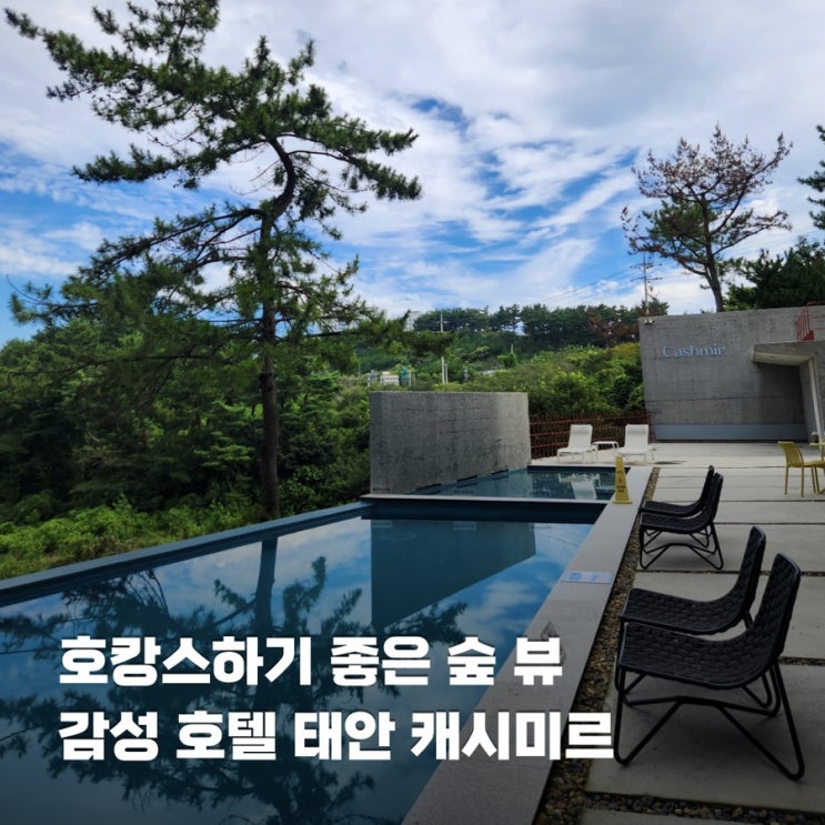  충남 태안 솔라고CC 근처 숙소 추천 캐시미르 호텔 조식 온수풀