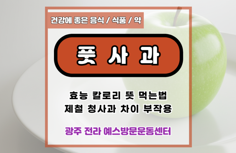 풋사과 효능 칼로리 뜻 먹는법 제철 청사과 차이 부작용
