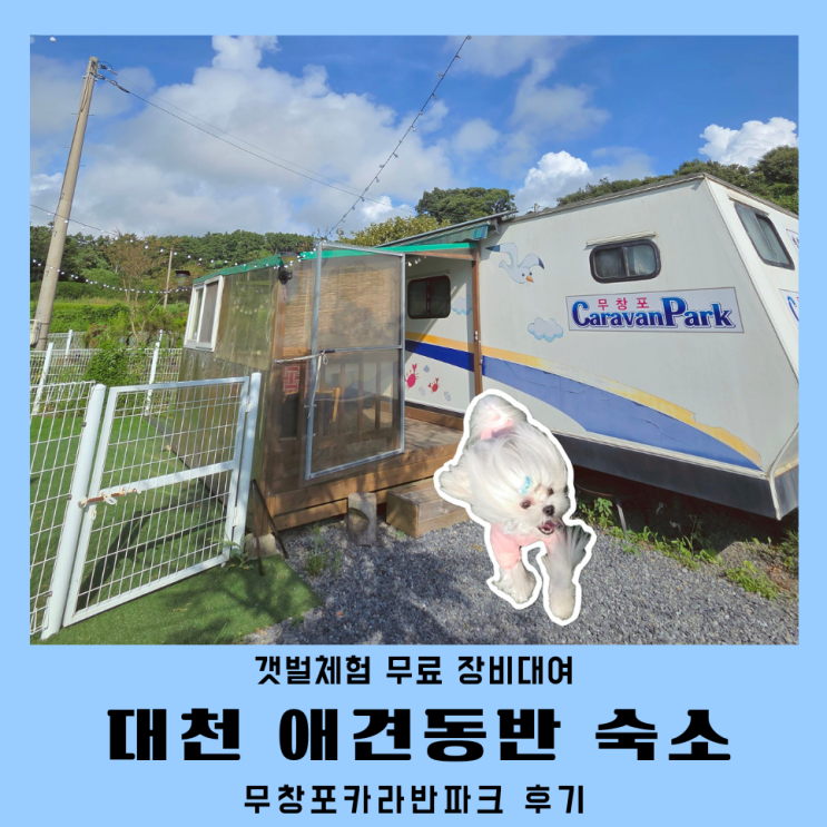  대천 무창포카라반파크 애견동반 무창포숙소 후기