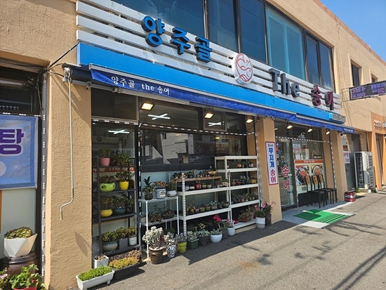양주골더송어 사진 2