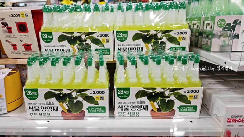 다이소 식물영양제 추천 화초 다육이 관엽식물 알비료 화분비료 종류