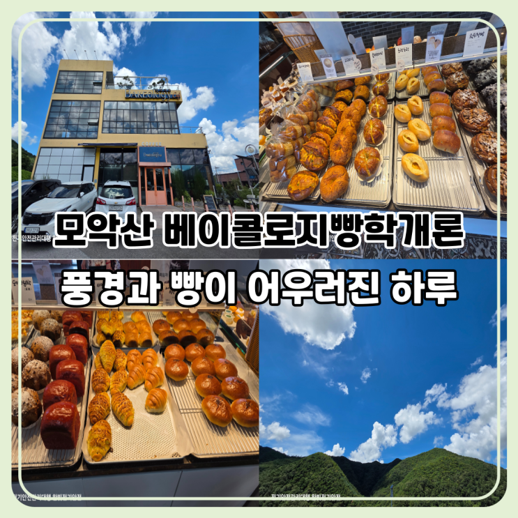  모악산 도립미술관 근처 카페｜베이콜로지빵학개론에서 즐긴 여유
