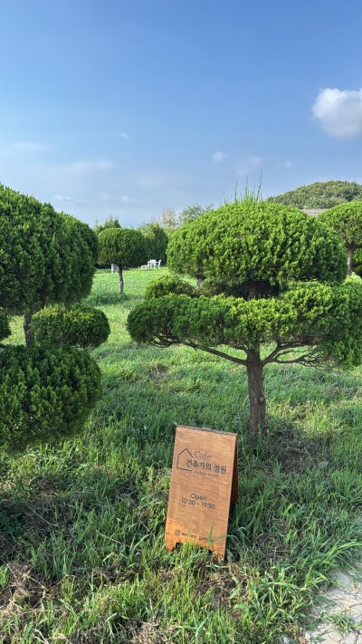 사진 2