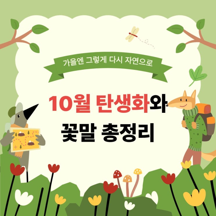  10월 탄생화 꽃말 완벽 총정리 1일부터 31일까지