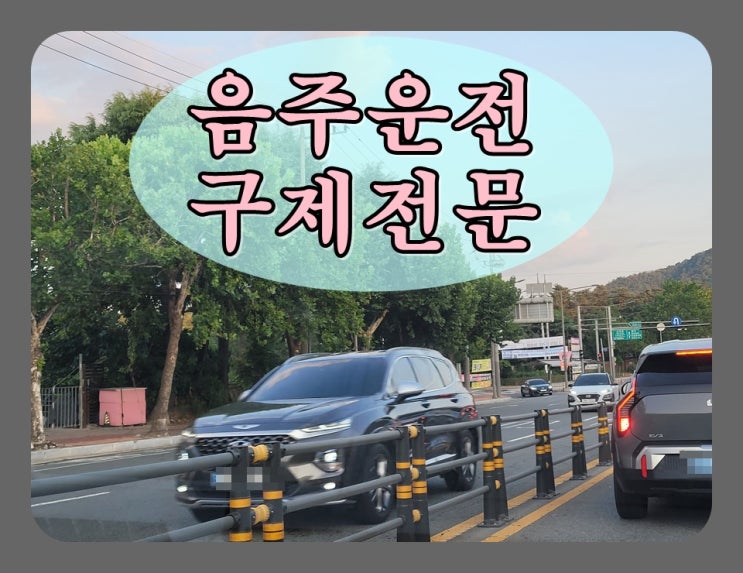  제주서귀포음주운전 구제 행정사! 반성문 탄원서