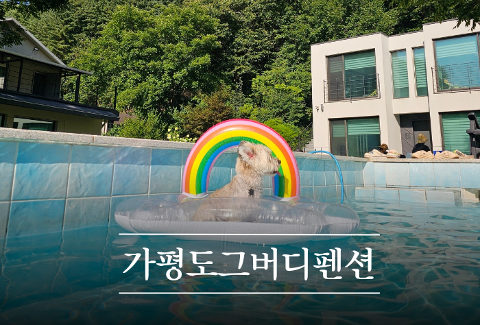 사진 8