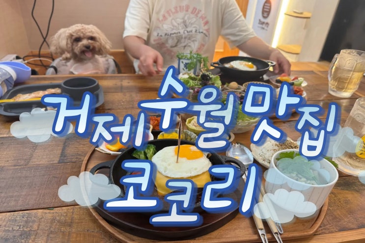  거제 수월 맛집 코코리 – 애견동반 가능한 따뜻한 일식당