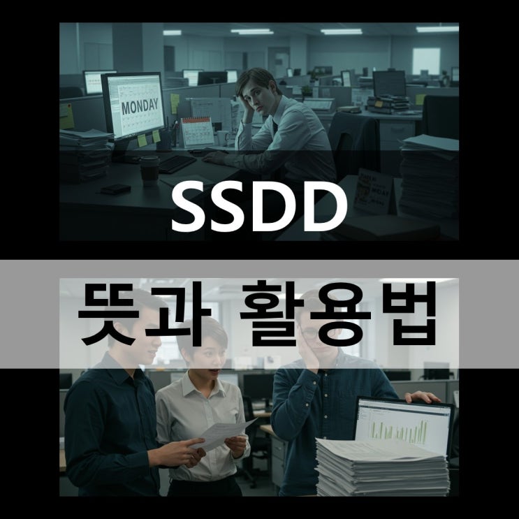  SSDD 뜻과 활용법