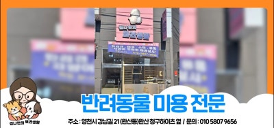 사진 4