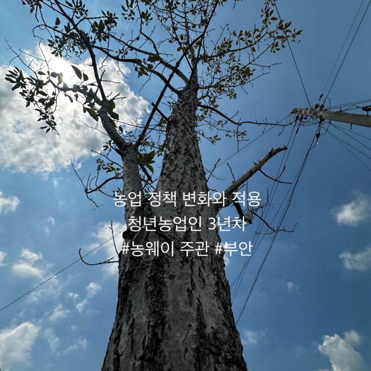 [강의][리더십 · <b>청년농업인</b> 부안][3년 차] 농업 정책 변화와... 