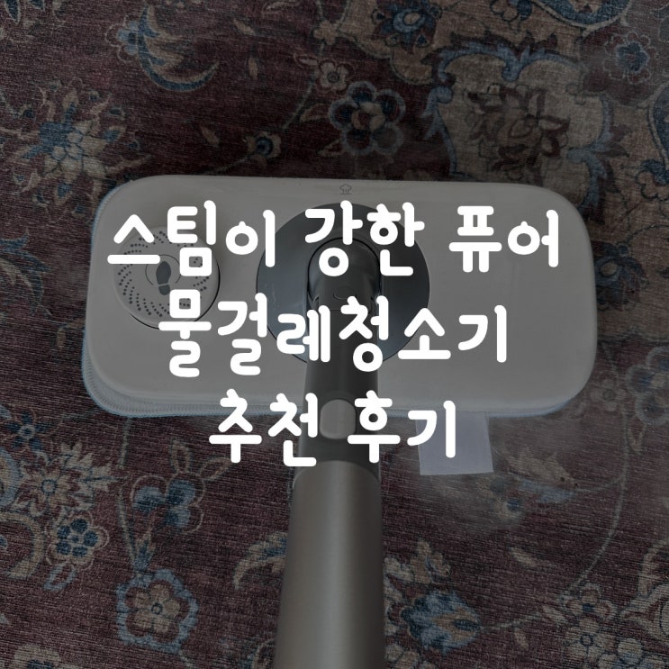  스팀이 강한 퓨어 물걸레청소기 추천 후기