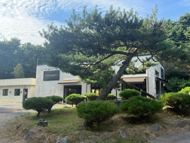 사진 2