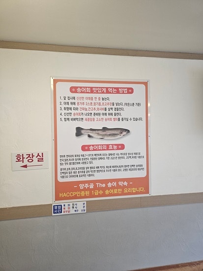 양주골더송어 사진 3