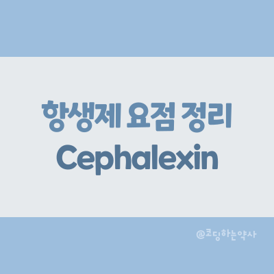  [항생제 요점 정리] Cephalexin (세팔렉신)