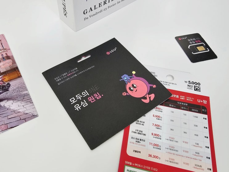  LG 선불폰 유심 가격 셀프개통 노하우