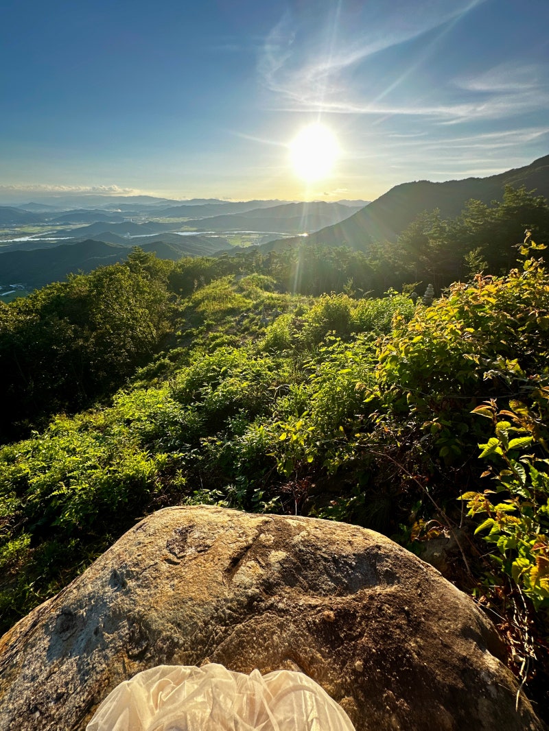 정책지식 2025.9.5. : 네이버 블로그