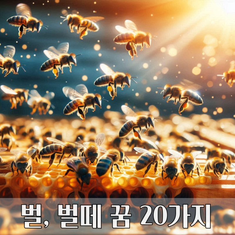벌떼 꿈해몽 20가지 해석