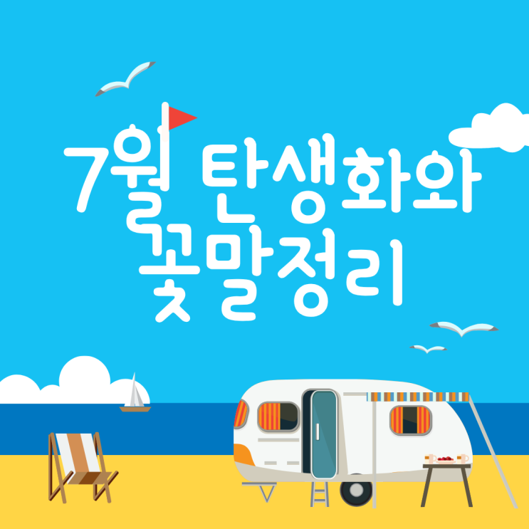  7월 탄생화 꽃말 완벽 총정리 1일부터 31일까지
