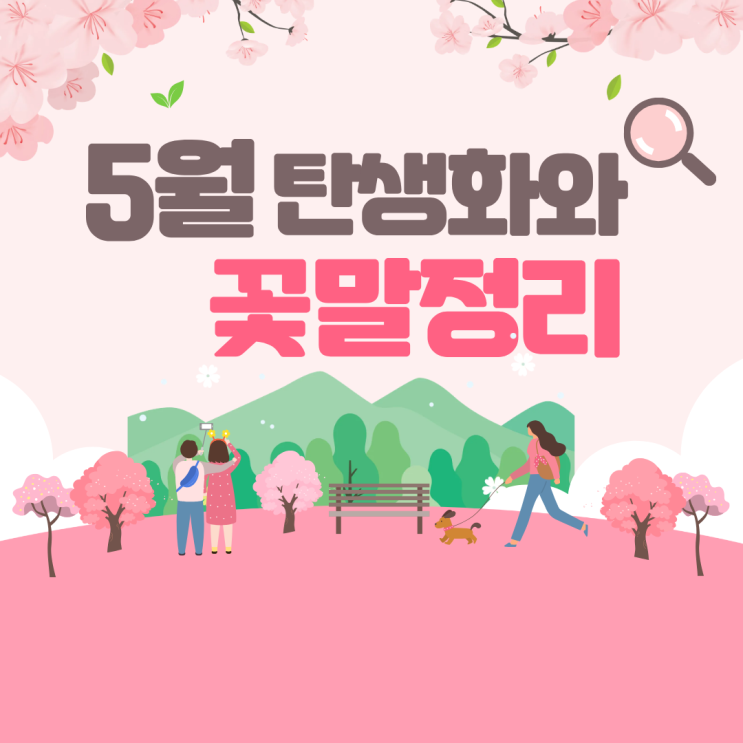  5월 탄생화 꽃말 완벽 총정리 1일부터 31일까지